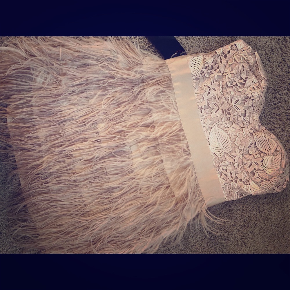 NWT Bebe size large Lace Feather Dress
